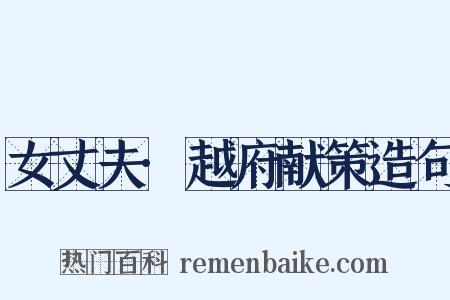 女丈夫·越府献策造句是什么意思的图片